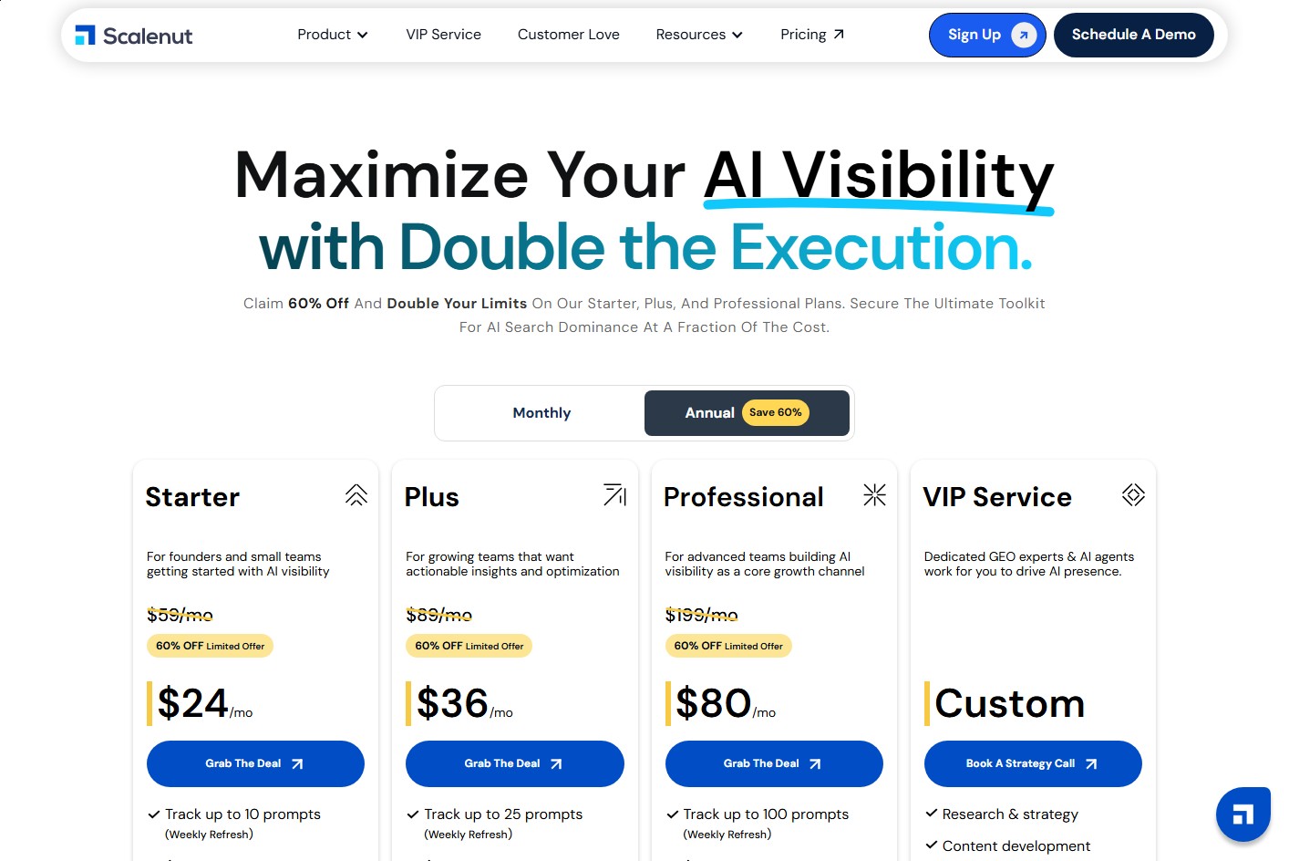 Scalenut pricing page showing Starter, Plus, Professional, and VIP Service plans